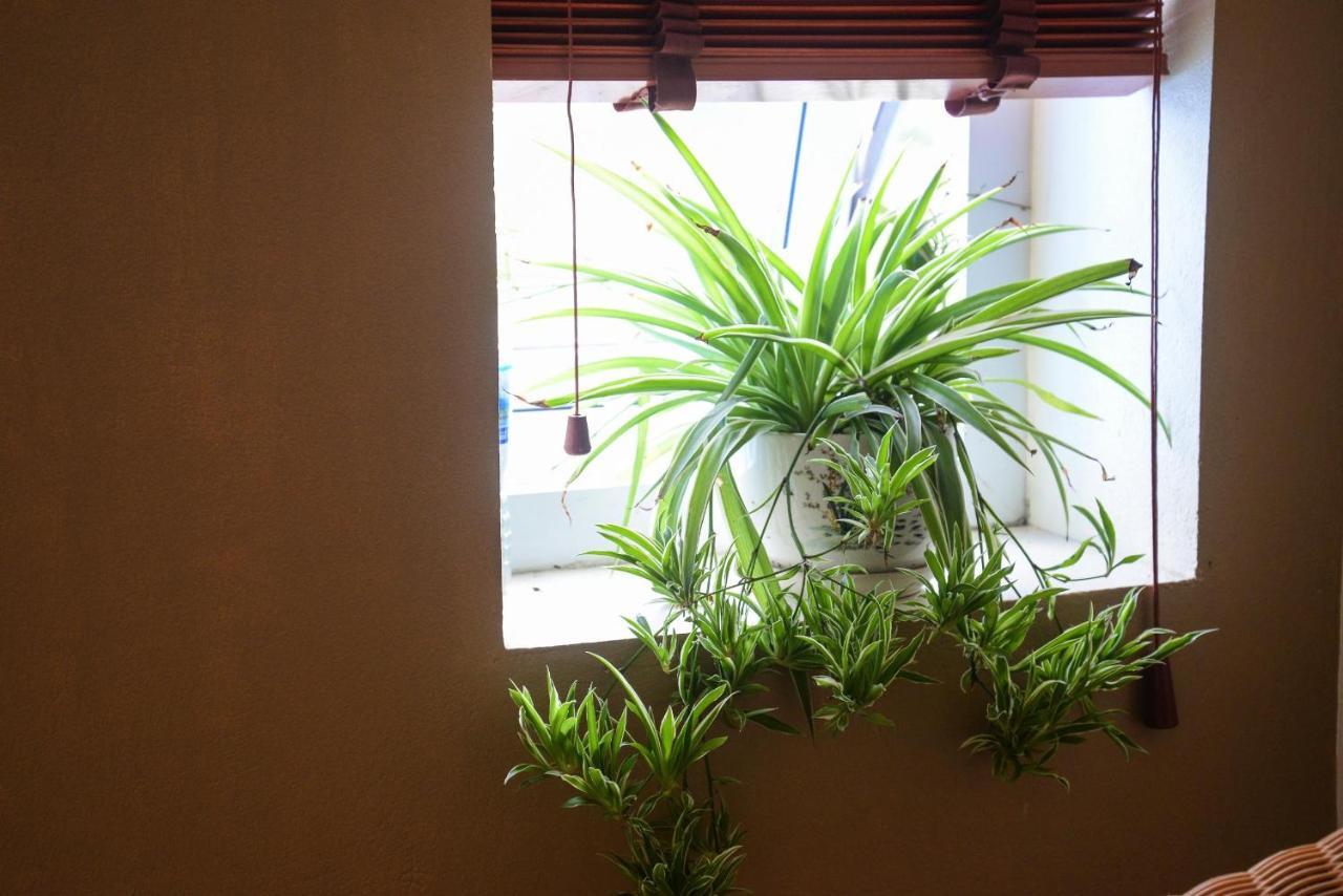 Ahoj Guest House Ha Long Luaran gambar